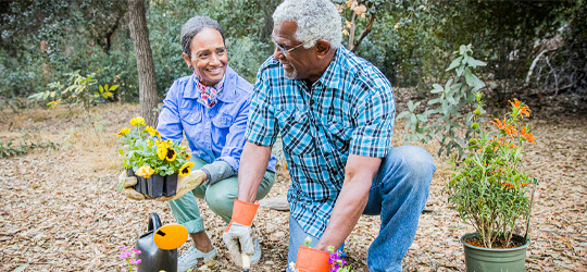 Couple working in garden