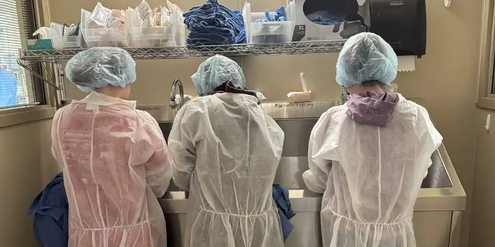 Students washing hands, wearing scrubs