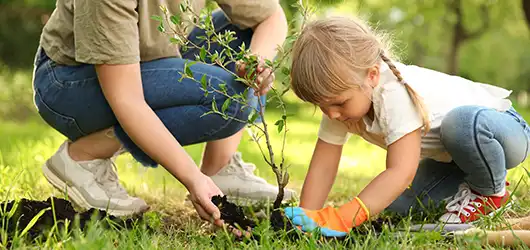 little girl planting tree with mother