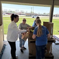 Volunteers placing produce into bags.