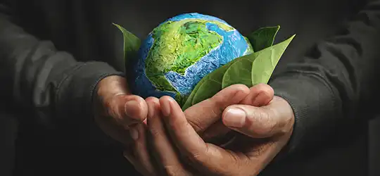 hands holding the earth wrapped in leaves