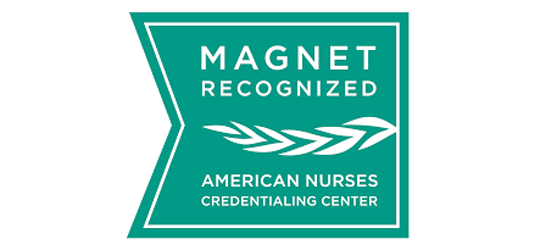 magnet logo