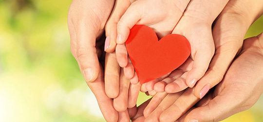 hands holding a heart