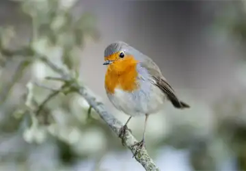 Grief Support Group: Walking Through Grief