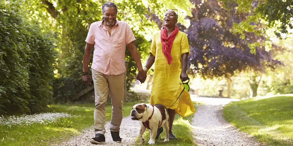 Couple walking dog