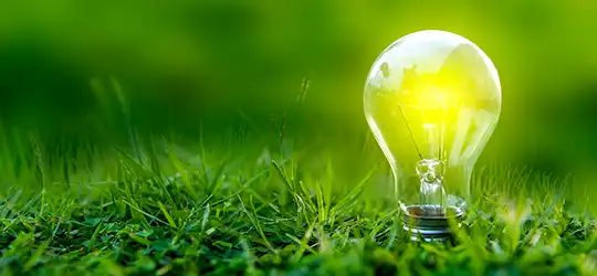 lit lightbulb in grass