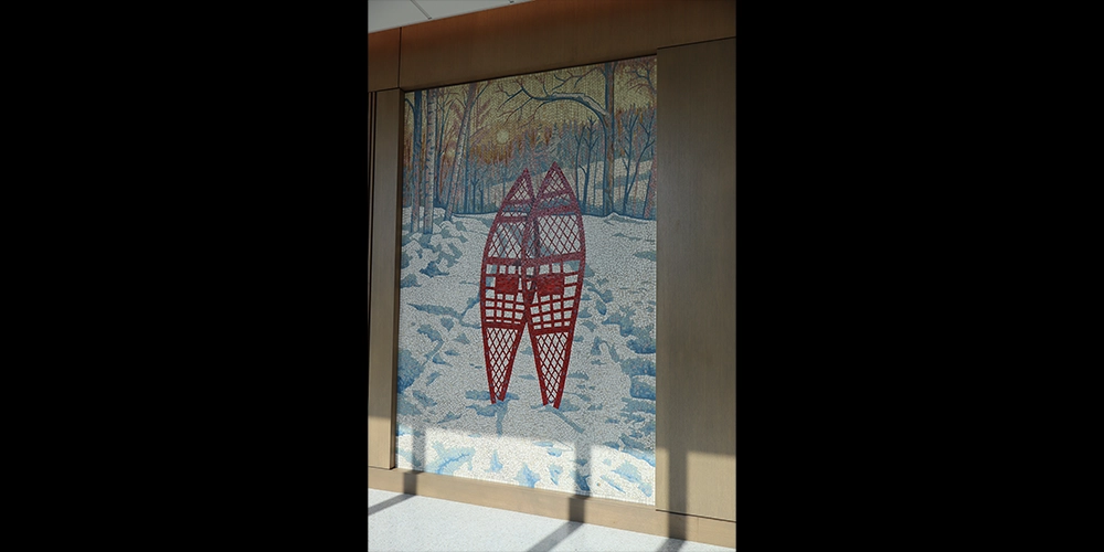 Mosaic of snowshoes