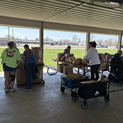 Volunteers doing various tasks.