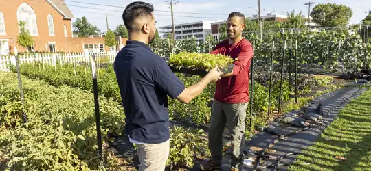 Two men gardening