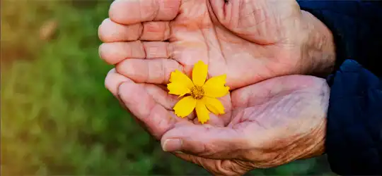 A Year of Kindness: Be Kind to Your Neighbor