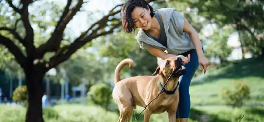 Woman playing with dog