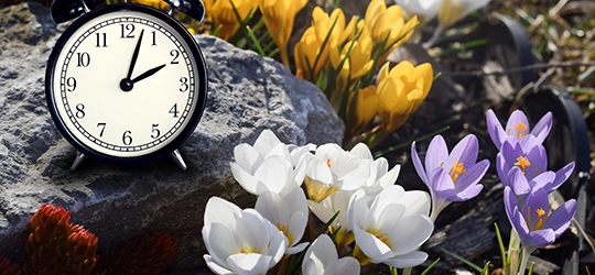 Daylight is coming – embrace the time change