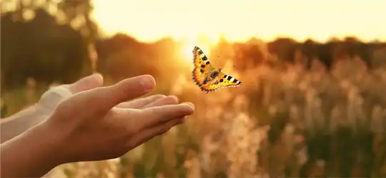 Hands releasing butterly